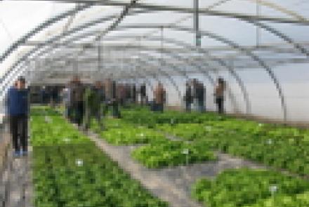 INTIA reunió a más de un centenar de profesionales en la jornada sobre cultivos en invernadero y nuevas tendencias en agricultura ecológica