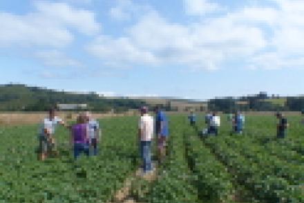 Jornadas sobre patata de siembra ecológica organizadas por INTIA para presentar resultados económicos y posibles problemas patológicos del cultivo