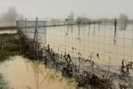 Inundaciones Cadreita INTIA