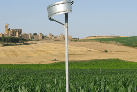 artajona maiz riego intia