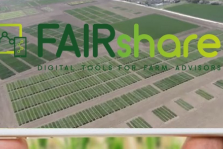 fairshare