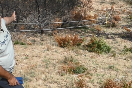 pastoreo contra el fuego