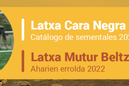 catalogo sementales latxa cara negra 2022