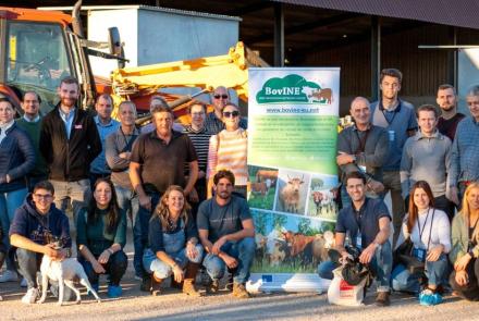 BOVINE_foto de familia