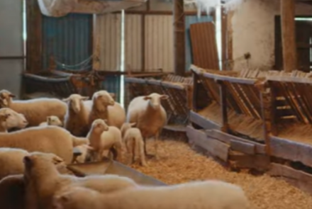 ecticona nazabal mikel intia