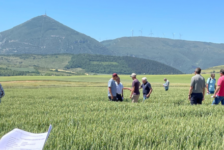 INTIA experimentacion