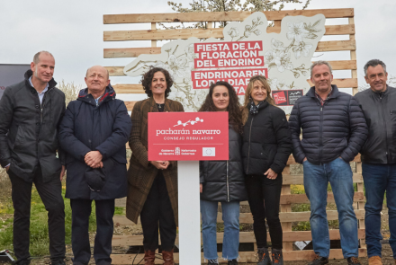 Fiesta de la floración del endrino