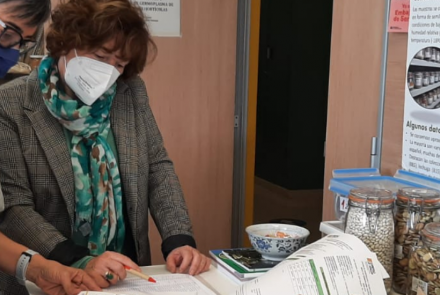 semillas antiguas INTIA