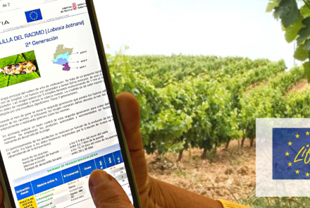 estacion avisos INTIA