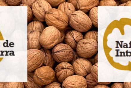 Nuez de Navarra