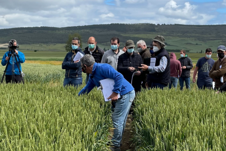 experimentación INTIA