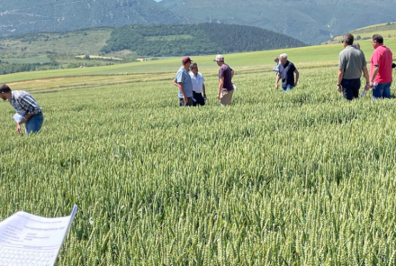 visitas ensayos INTIA