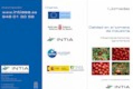 I Jornadas: Calidad en tomate de industria. Influencia de factores agronómicos. Finca de INTIA (Cadreita)