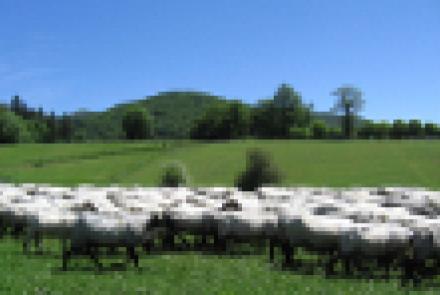 Un grupo de 45 jóvenes franceses visitan la finca de INTIA ubicada en Orreaga/Roncesvalles