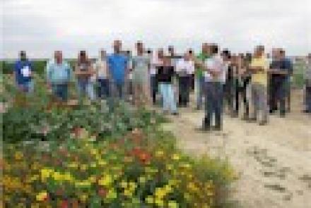 Un centenar de personas se reúne en la finca demostrativa de INTIA en Cadreita para la jornada de hortícolas de verano