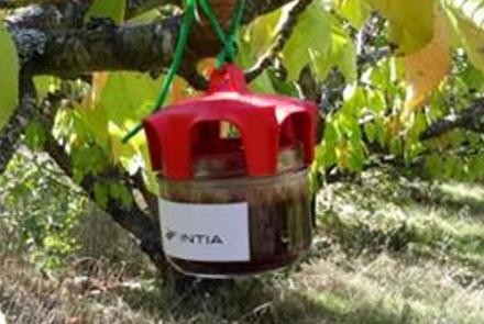 TrampaEstacionAvisosINTIA