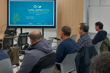 Reunión Valereco