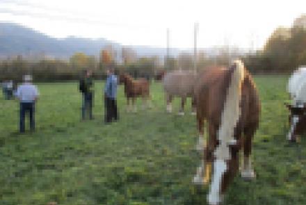 INTIA organizó un viaje técnico a Cataluña con ganaderos y ganaderas de equino