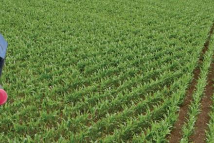 agricultura de precisión