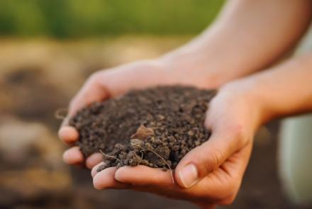 Jornada Carbon farming