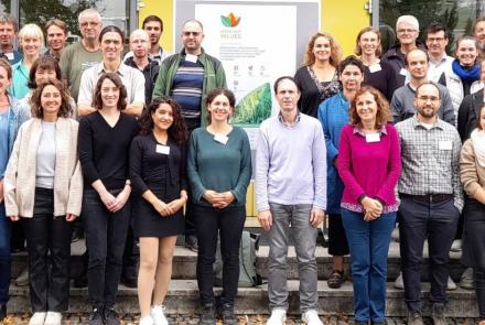 Intercropvalues INTIA