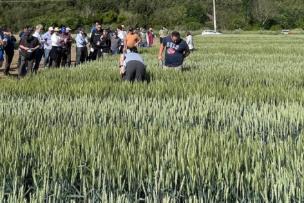 visita ensayos intia