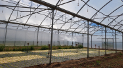 Visita del alumnado del título propio de Agroecología de la UPNA a la finca experimental de INTIA en Sartaguda
