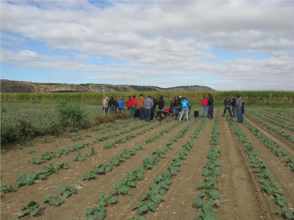 AsistentesCampoJornadaGelagriBroculiRed