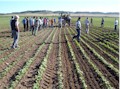 INTIA organizó la Jornada “Reducción del uso de herbicidas en hortícolas mediante binadoras”