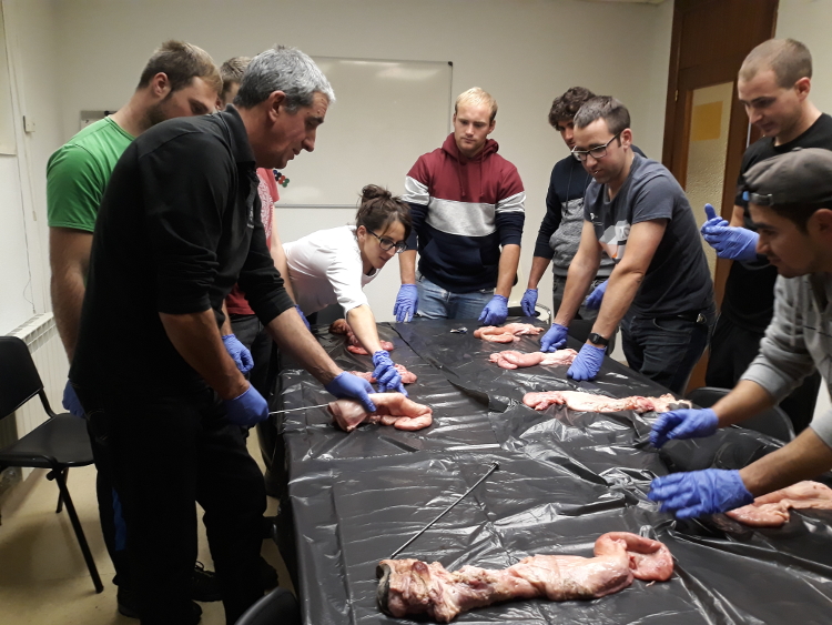 CursoInseminacionArtificial2018 20181120 124445 Red