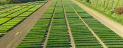 INTIA presenta cuatro nuevos proyectos europeos de investigación e innovación en el sector rural