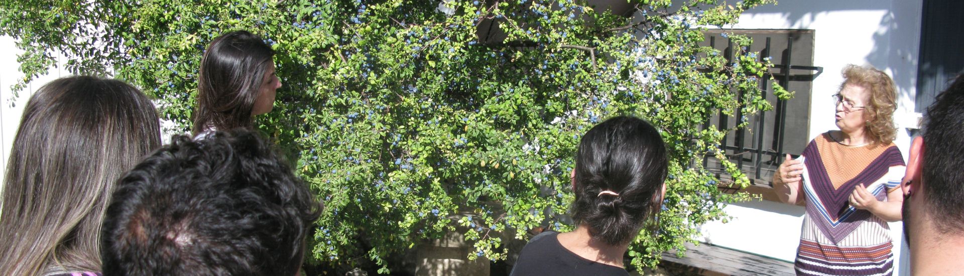 pacharán azanza