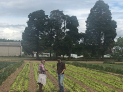 La finca experimental de INTIA en Sartaguda, centro de ensayos de la producción ecológica de Navarra