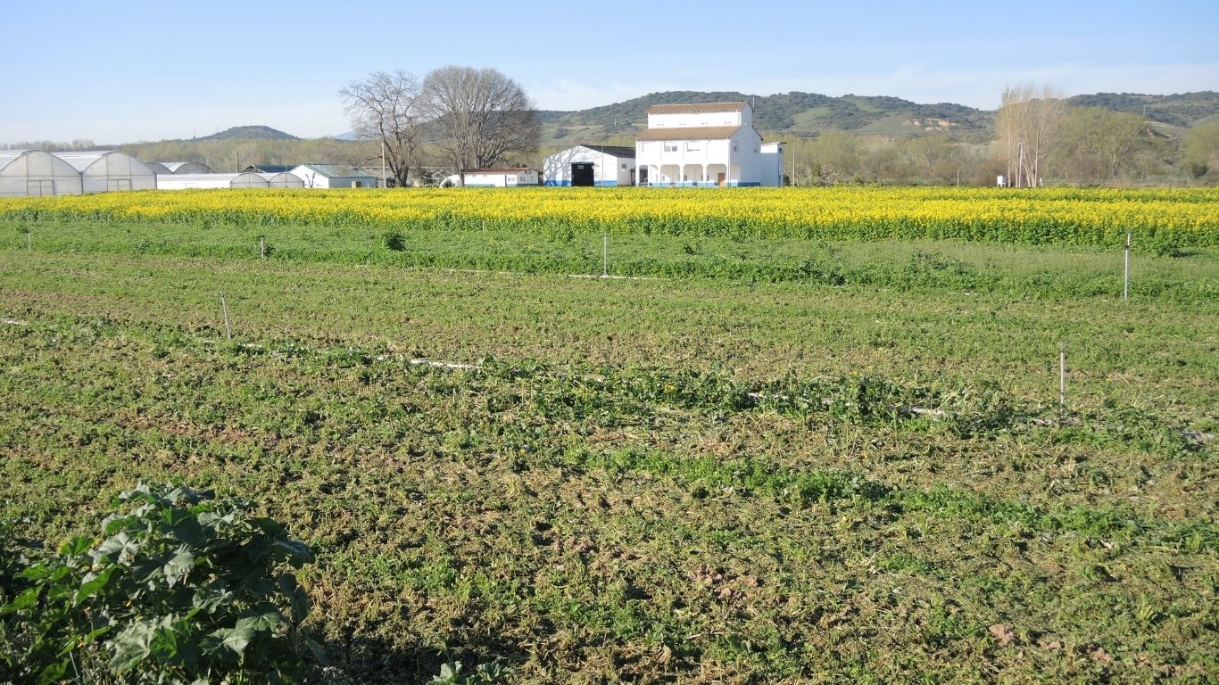 Jornada de primavera de puertas abiertas sobre hortícolas en ecológico en Sartaguda