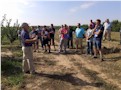 Fruticultores navarros visitan la finca de demostración de INTIA en Sartaguda