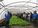 INTIA presenta la evolución de los ensayos de hortícolas en invernaderos