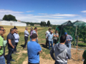 Jornada técnica de cereza organizada por INTIA sobre resultados de distintos sistemas de formación y métodos de aclareo de flor