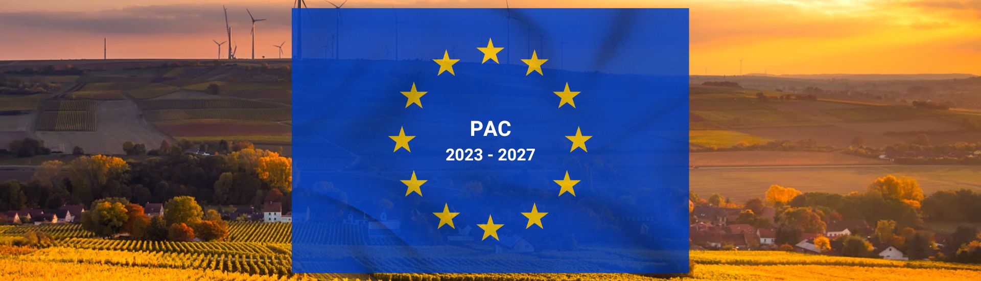PAC INTIA