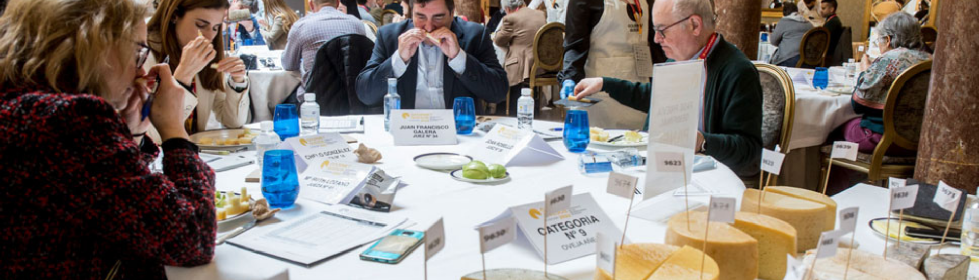 QUESOS GOURMETS