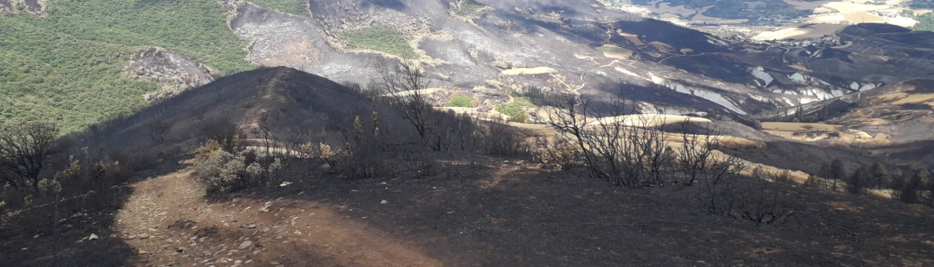 incendios NAVARRA