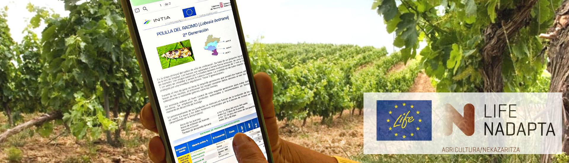 app estación avisos