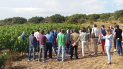 INTIA participa en el proyecto Smart Sustainable Wine, el sector del vino navarro como referente en sostenibilidad