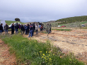 Más de sesenta profesionales de la agricultura aprenden técnicas de gestión de malas hierbas en el olivar