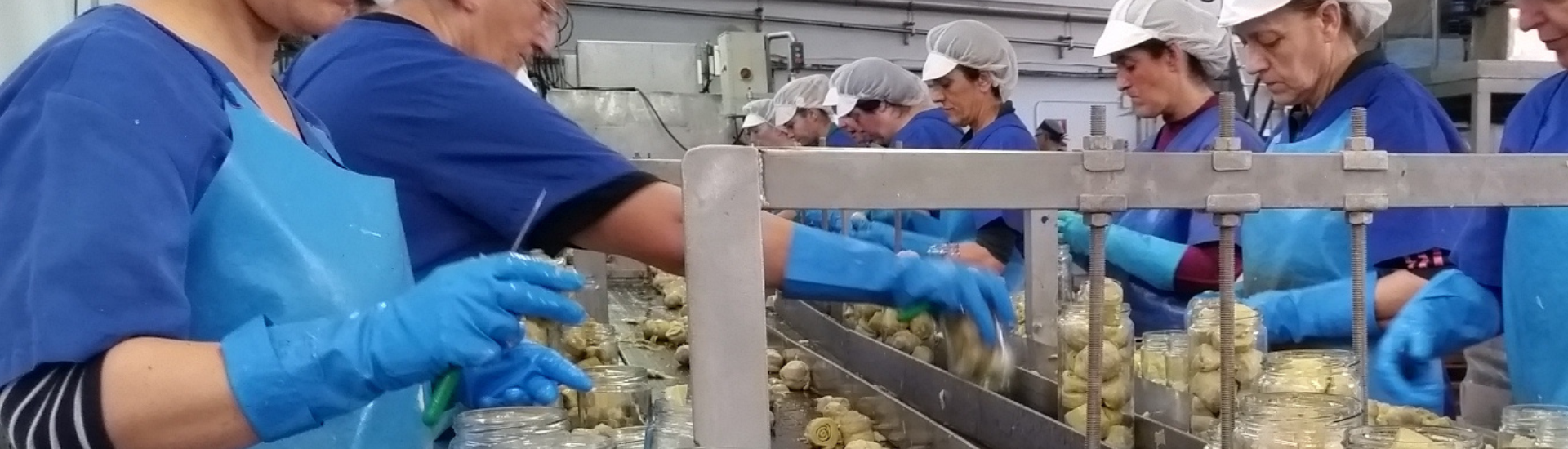 AGROINDUSTRIA INTIA