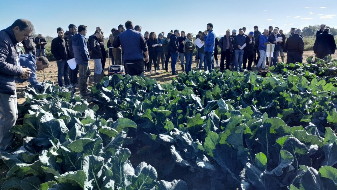 jornada de hortícolas