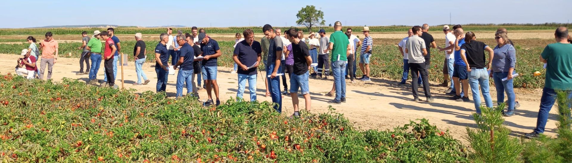 jornada hortícolas