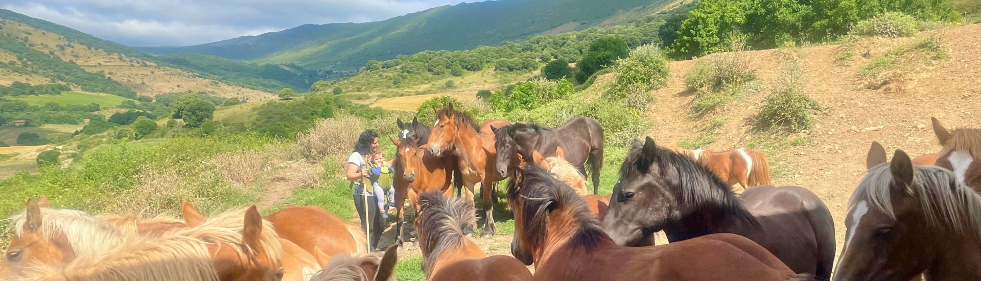 Tamara Moreno INTIA