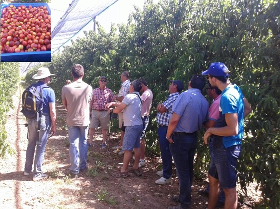 viajeFruticulturaLleida