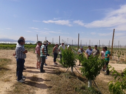 viajeFruticulturaZaragoza