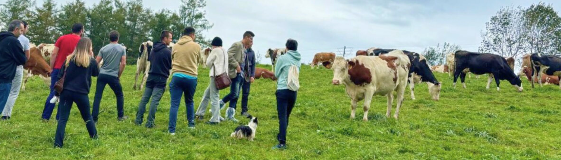 Jovenes en el campo